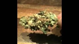 Amsterdam weed