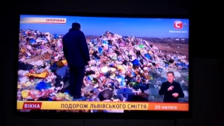 "СТБ" про львівське сміття у Пологах