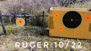 Ruger 10/22 backyard plinking