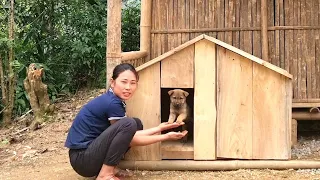 Build a Wooden House for Dogs & Taking care of pets | Dang Thi Mui