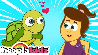 I Had A Little Turtle Song | Lullabies for Babies to Sleep By HooplaKidz