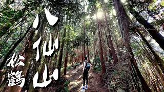 【谷關七雄】八仙山⛰️-松鶴線🐦 谷關七雄畢業🥳 內功渾厚、至剛至陽的老大，令人不敢造次！陡升超過1700m 猶如百岳單攻。沒展望? 無聊? 大家好好用眼睛感受吧！！