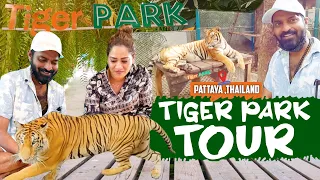 Tiger Park Tour in Thailand🐯🐯 | Mr Makapa