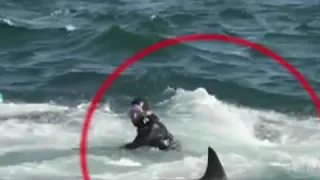 У побережья ЮАР кит чуть не проглотил дайвера|CCTV Русский