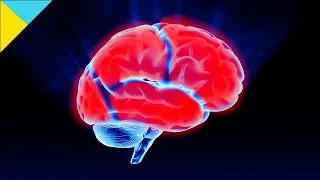 Brain TINGLING in Frontal, Temporal, Parietal & Occipital Lobes at 2 Mins A=432 Hz* (Solfeggio)