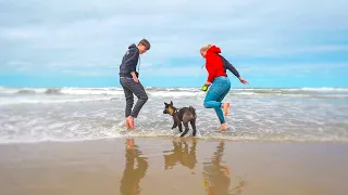 MALINO DE PUPPY ZIET VOOR HET EERST DE ZEE!! #2496