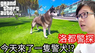 【Kim阿金】洛都警探#25 今天來了一隻警犬!?《GTA 5 Mods》