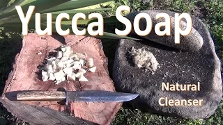 How to Make Yucca Soap (Primitive)