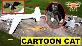 YOU WONT BELIEVE WHAT MY DRONE CAUGHT AT THIS ABANDONED AIRFIELD! | CARTOON CAT AND EAGLE FOUND!