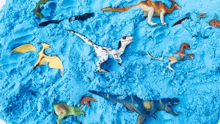 Dinosaurs Dig Sand Scavanger Hunt | T REX, Velociraptor, Mosasaurus, and more!