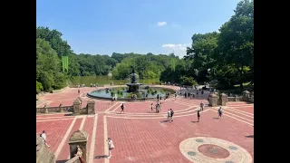🔴 NYC Live: The Central Park Experience 8/22/23