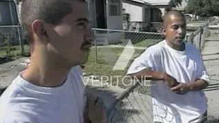 Gang Violence ☆ Los Angeles 1995