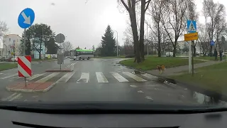 Stop Cham7 - piesek na przejściu