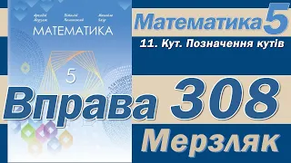 Мерзляк Вправа 308. Математика 5 клас