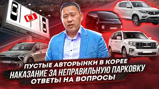 Авто в Южной Корее. Цены авто в Корее Mohave | Staria | Spirtage | Rexton G4.