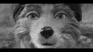 Alexandre Desplat - canis lupus  (Slowed) Fantastic Mr. Fox