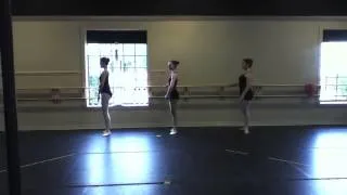 The Ballet Russes