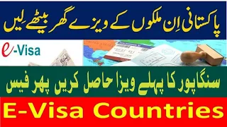 E visa countries on Pakistani passport