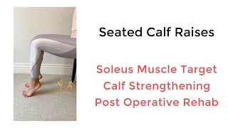 Seated Calf Raises | Soleus Muscle Target | Achilles & Calf Strengthening