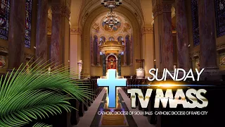 Sunday TV Mass - April 5, 2020 - Palm Sunday of the Lord's Passion