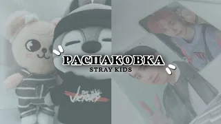 ｡･:*:☆Распаковка stray kids ｡･:*:☆