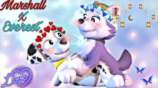 Paw Patrol ~🔥Marshall X Everest❄️~ {Crushed}