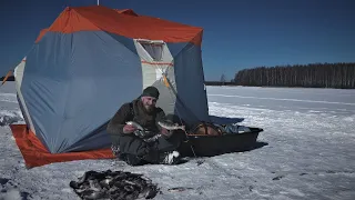 Отвёл Душу На Зимней Рыбалке! Ловля Плотвы на Поплавок!