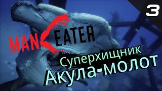 MANEATER ПРОХОЖДЕНИЕ - ЧАСТЬ 3: СУПЕРХИЩНИК АЛЛИГАТОР И АКУЛА-МОЛОТ! АКУЛА-ЛЮДОЕД! КРОВЬ И ХАОС!