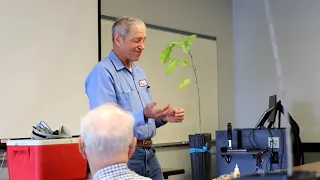 Ohio Pawpaw Conference 2023: Grafting Demo - Cleft Graft