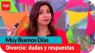 Todo lo que debes saber sobre divorcio en Chile | Muy Buenos Días | Buenos días a todos