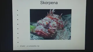 Przegląd i znaczenie ryb. biologia klasa 6