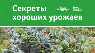 Секреты хороших урожаев