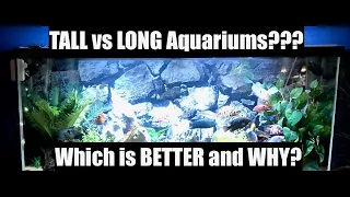 TALL VS LONG Fish Tanks - Which one is right for YOU?