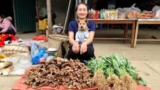 Harvest Ginger & Vegetable Garden and bring them to the market to sell | Ly Thi Tam