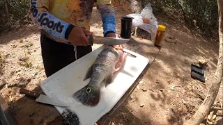 Pescaria peixe frito no barranco teve um momento surpreendente Garça morreu adivinha por que?