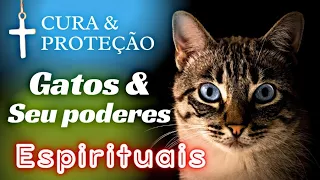 🍀A Missão Espiritual dos Gatos Como os Gatos Protegem Você e sua Casa de Energias Negativas?