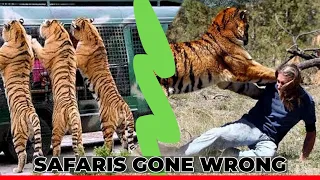 10 Times Safaris Have Gone Wrong And Caught On Camera