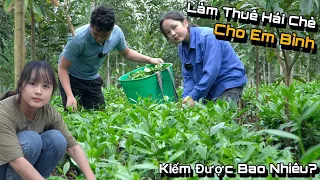 Em Bình 18 Tuổi Quyết Định Bỏ Quê Xuống Phố Tìm Con Chữ, Tạm Gác Việc Chăn Nuôi..!