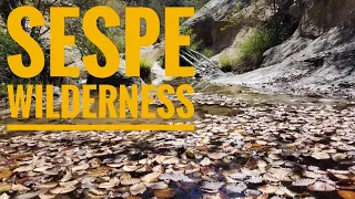 Hiking in the Sespe Wilderness