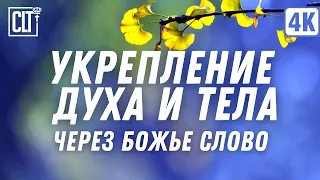 Укрепление духа и тела | Покой | Исцеление | Relaxing