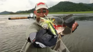 Giant Snakehead !!! Toman !!! Thailand Fishing By BKKGUY