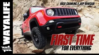 FIRST TIME : Lifted Jeep Renegade Trailhawk & Stock JK Wrangler Rubicon on the Rocks