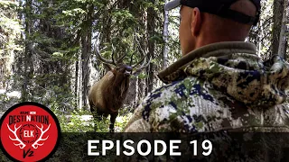 4-Yards, Frontal, and Furious! Corey's 2019 Idaho Bull (Destination Elk V2: Episode 19)