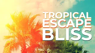 Escape to Paradise: Bossa Nova Playlist for Stress Relief