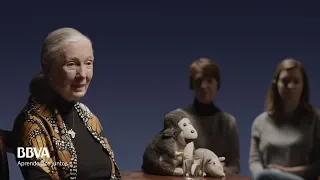 "Tenemos intelecto. ¿Pero somos tan inteligentes?". Jane Goodall, primatóloga