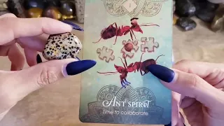 TAURUS, A PHONE CALL THAT WILL LEAVE YOU SPEECHLESS❤️ TAURUS MAY 2024 LOVE TAROT READING TAROT REA