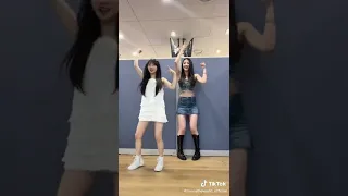 Yeojin (LOONA) x Lucy (Weki Meki) - Flip That TikTok Challenge