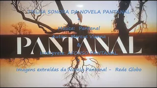 Pantanal  - Trilha Sonora da Novela Pantanal