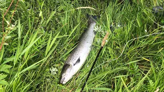 River Tweed fishing 🎣