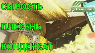 ТОП-3 убийственных причин загородного дома. Сырость. Плесень. Конденсат. Не Строй и Живи.